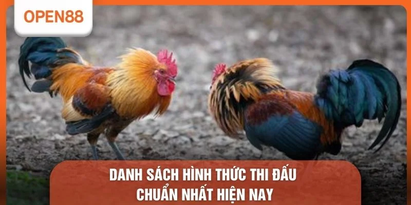 Đá Gà OPEN88 - Bí Kíp Vàng Giúp Nâng Cao 100% Chiến Thắng 2 Danh sách hình thức thi đấu chuẩn nhất hiện nay